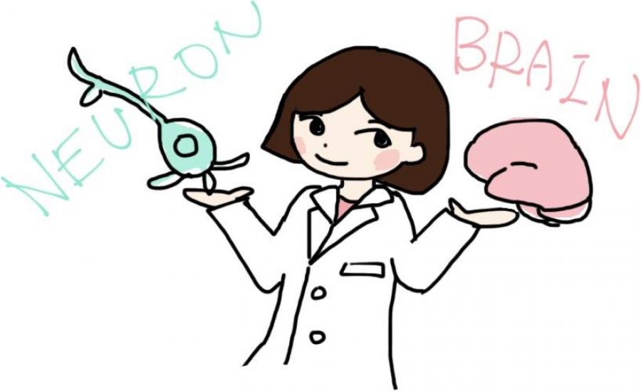 医学博士が教える脳講座―脳を知れば生きやすくなる―